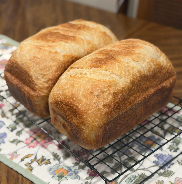sourdough sandwich bread